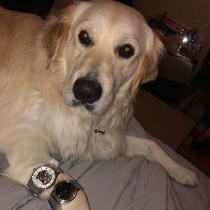 Meet your Posher, Vanessa